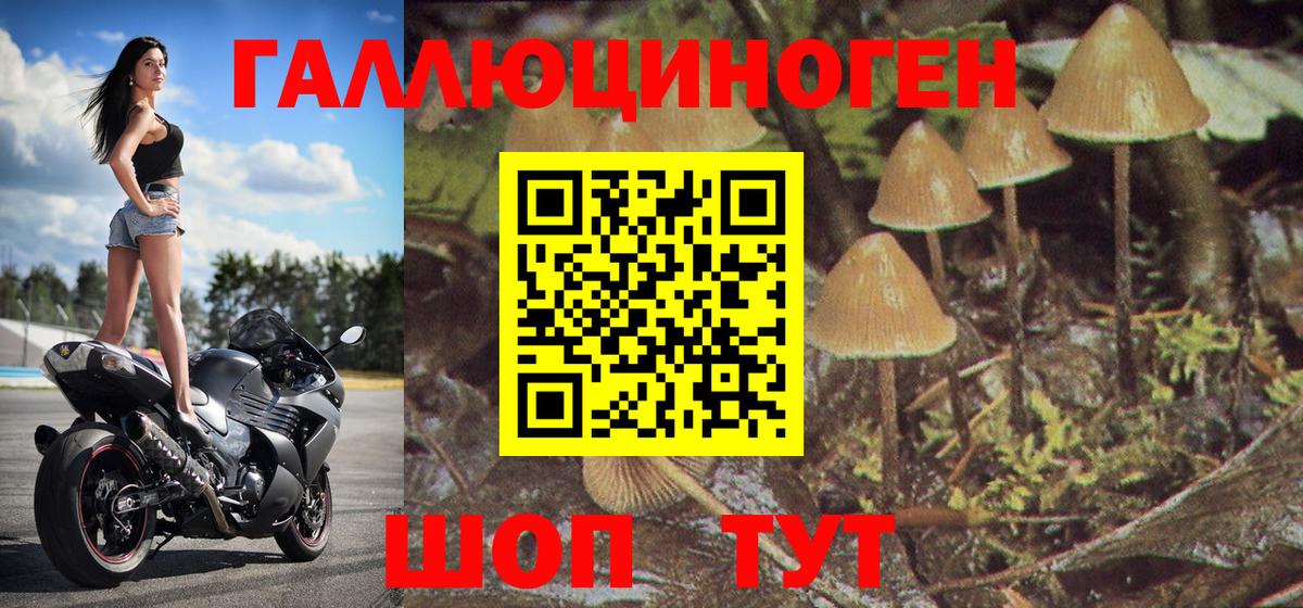 Галлюциногенные грибы Magic Shrooms Кинешма