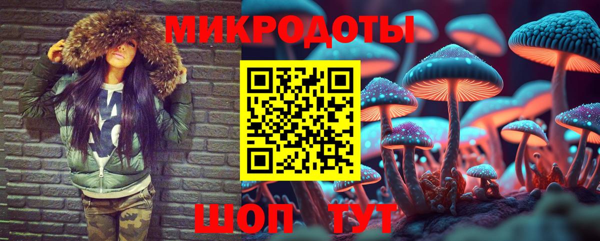 закладки  Галлюциногенные грибы прущие грибы  Вход с VPN  Кинешма 